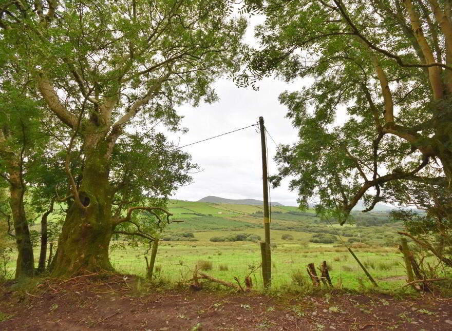 Kilduff, Anascaul, V92ND68