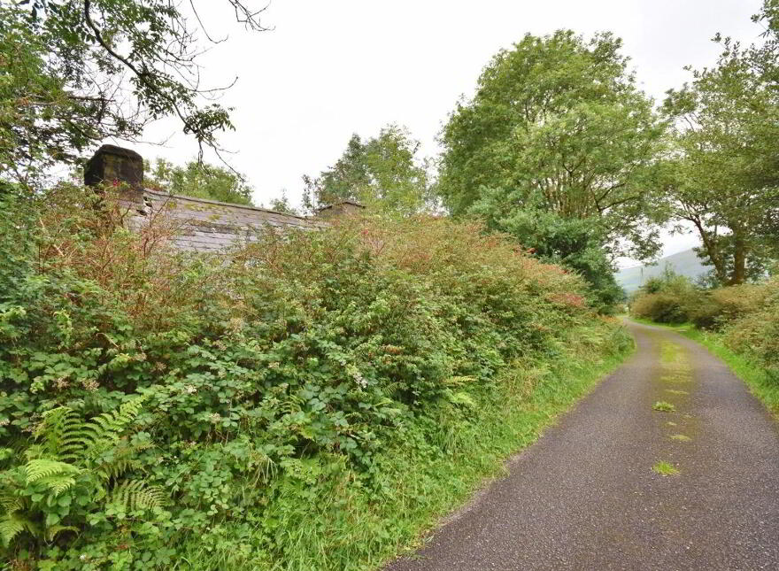 Kilduff, Anascaul, V92ND68
