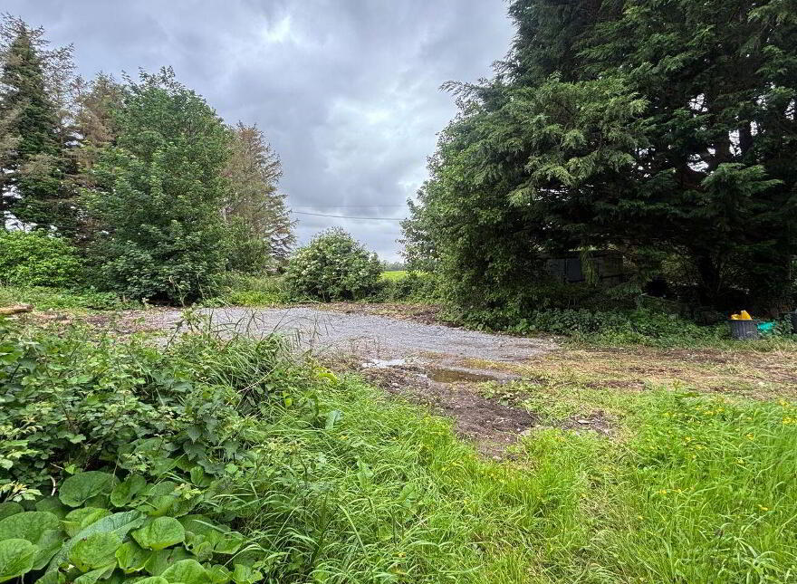 Lissooleen, Kielduff, Ballymacelligott, V92HH36