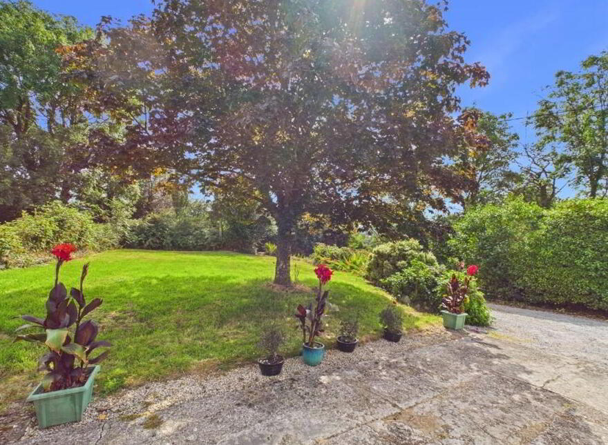 Barleymount West, Aghadoe, Ballyhar, V93E3W7