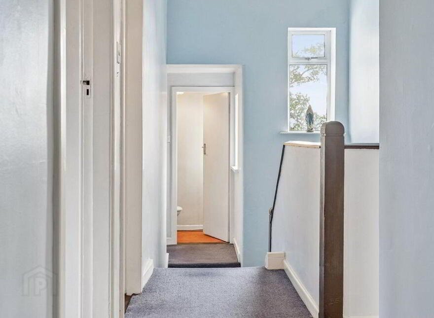 Mallard, Foxrock Park, Kill Lane, Foxrock, Foxrock, D18EA26