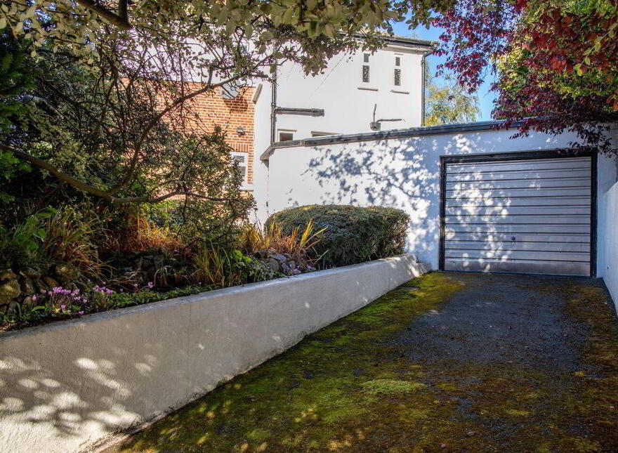 Mallard, Foxrock Park, Kill Lane, Foxrock, Foxrock, D18EA26