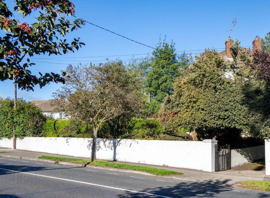 Mallard, Foxrock Park, Kill Lane, Foxrock, Foxrock, D18EA26