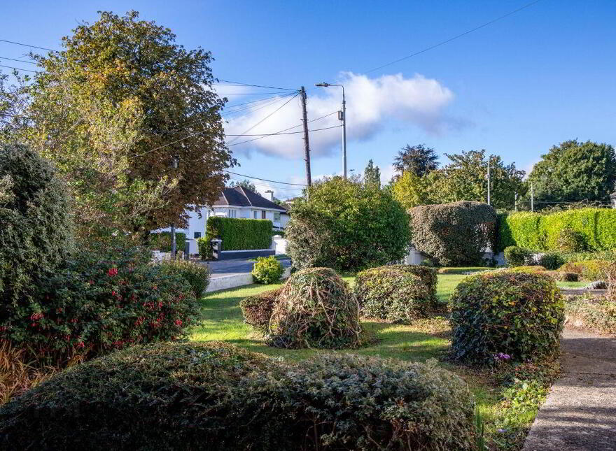 Mallard, Foxrock Park, Kill Lane, Foxrock, Foxrock, D18EA26