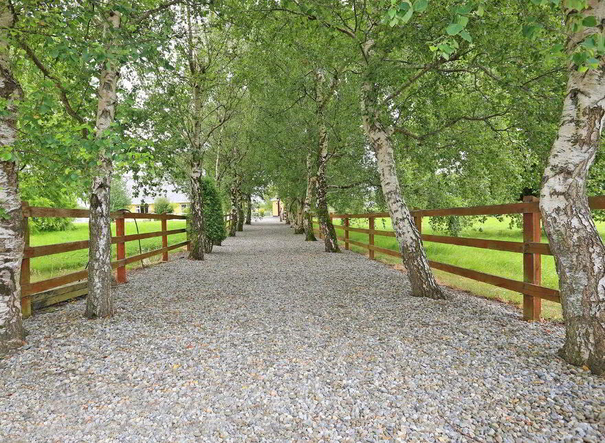 Ballybrown, Clarina, V94R80F