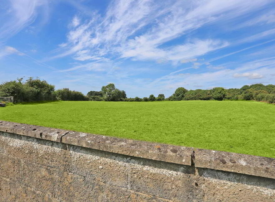 The Waterways, Loughanleigh, Mungret, V94RWD8