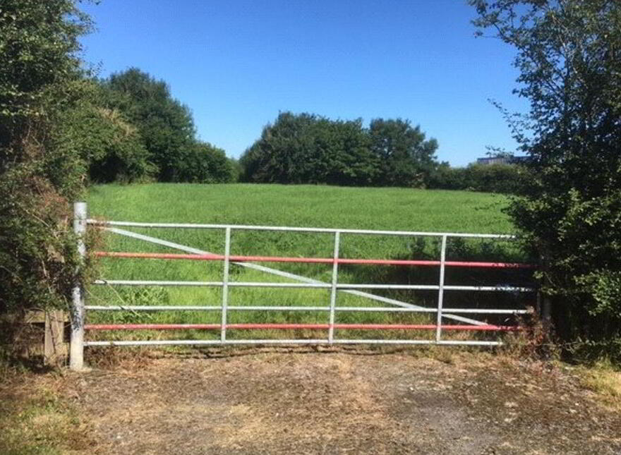 Clondacasey, Mountrath, Portlaoise