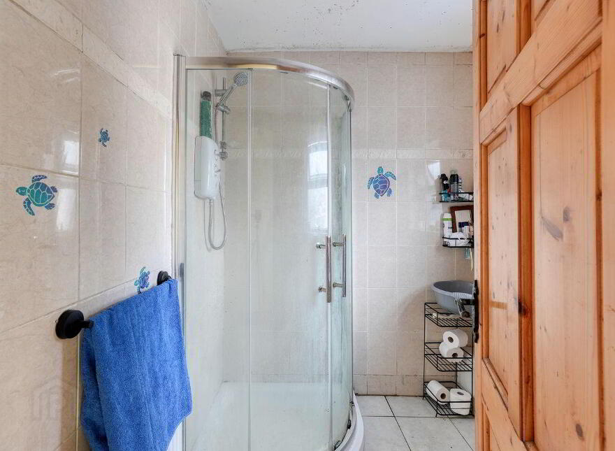 1 Saint Fintans, Terrace, Mountrath, R32AC96