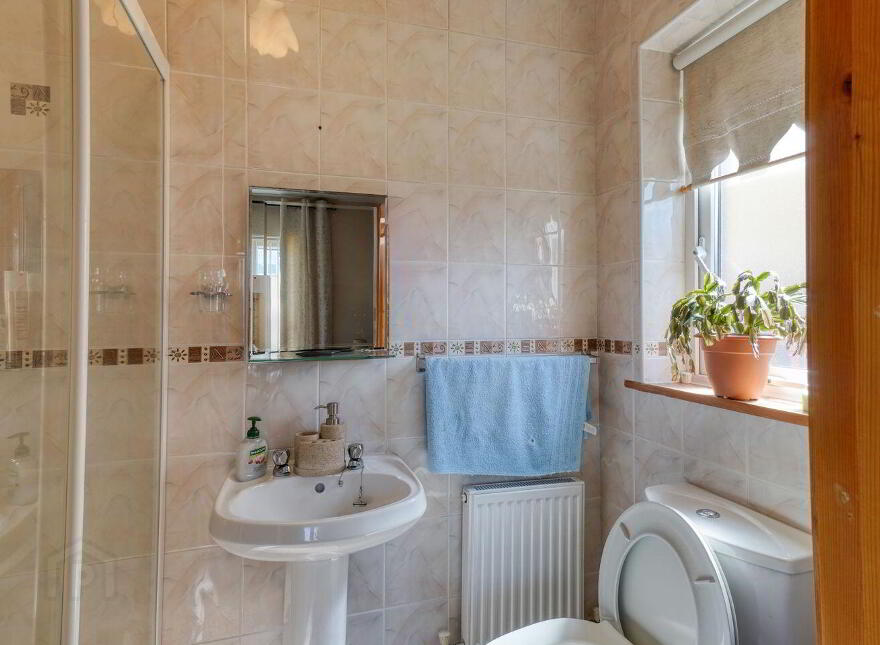 50 Manor Grove, Mountmellick, R32K7K4