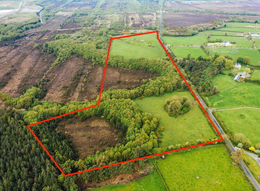 Derrymahon, Timahoe, Coill Dubh