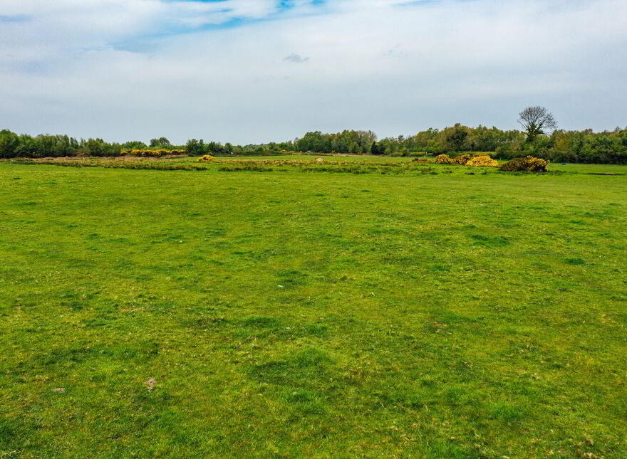 Derrymahon, Timahoe, Coill Dubh