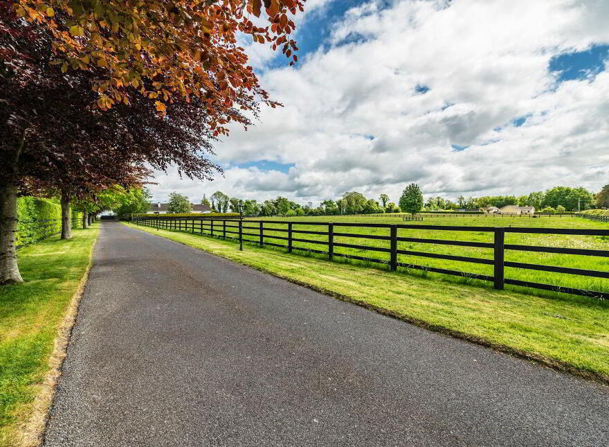 The Moate, Hoganswood, Clane, W91R7W3