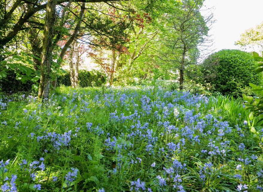 Merville, Taylors Hill Road, H91FWT7