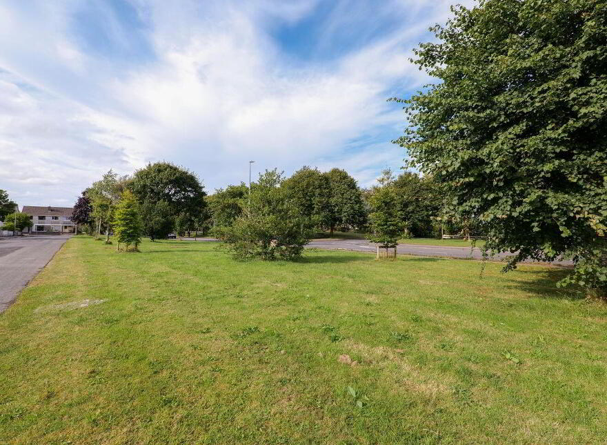 19 Hazel Park, Newcastle, H91YDC7