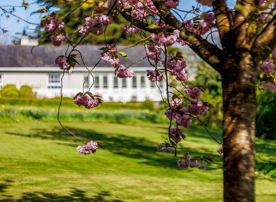 Dunmoe Cottage, Dunmoe, Navan, C15A8D2