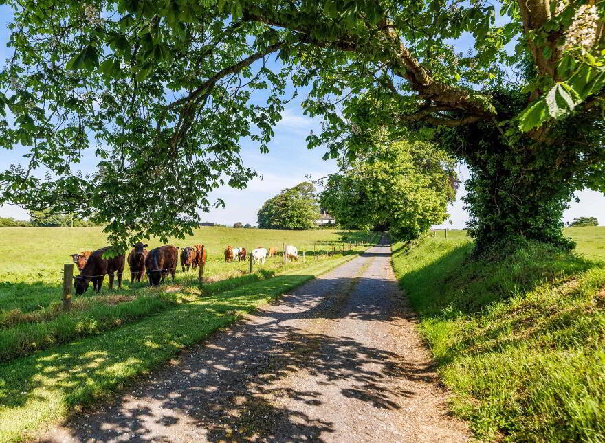 Martry House, Kells, A82D5H2