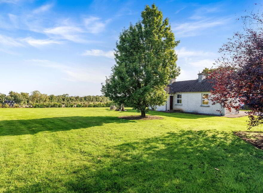 Demailestown, Wilkinstown, Wilkinstown, C15DF89