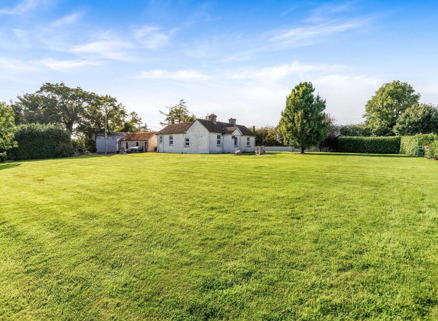 Demailestown, Wilkinstown, Wilkinstown, C15DF89