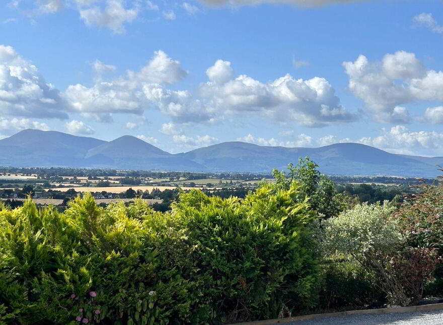 Cahir Abbey Upper, Mountain Road, Cahir, E21W889