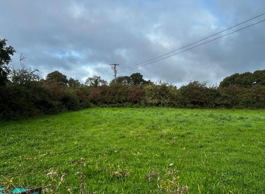 Boherbee, Thomastown, Golden, E25Y678