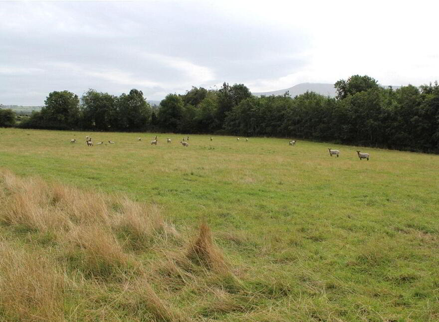 Sites, Corrie Beg, Bagenalstown