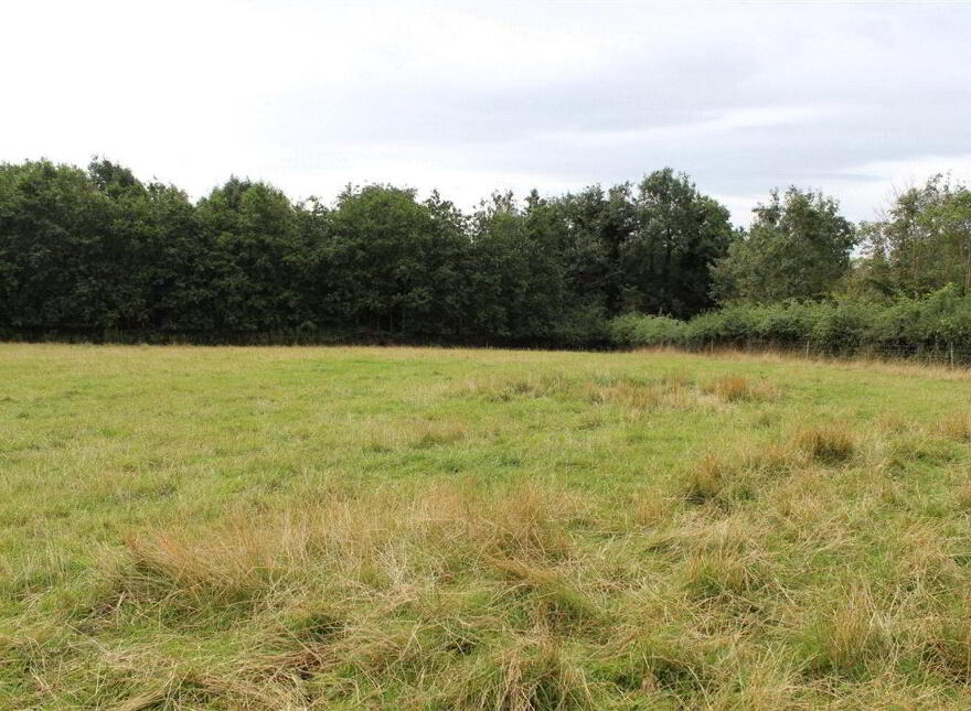 Sites, Corrie Beg, Bagenalstown