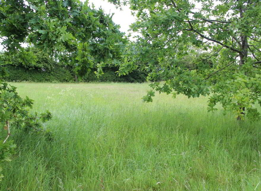 0.75 Acre Site Slyguff, Bagenalstown