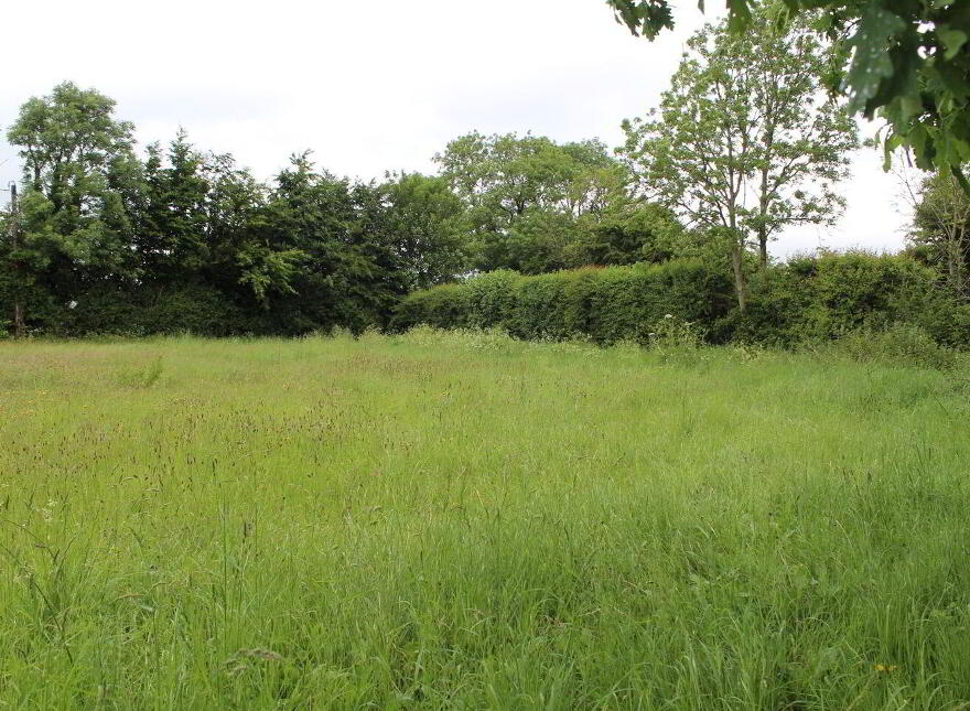 0.75 Acre Site Slyguff, Bagenalstown