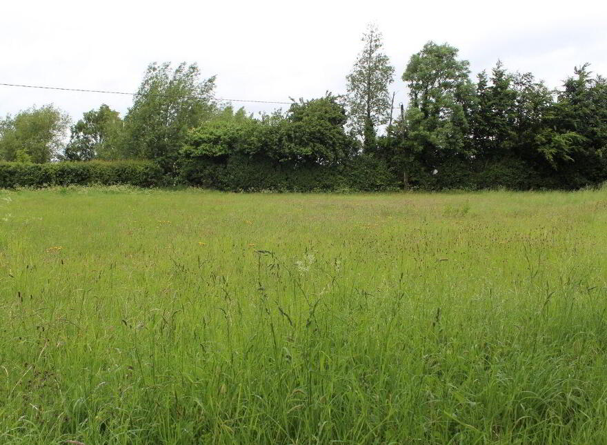 0.75 Acre Site Slyguff, Bagenalstown