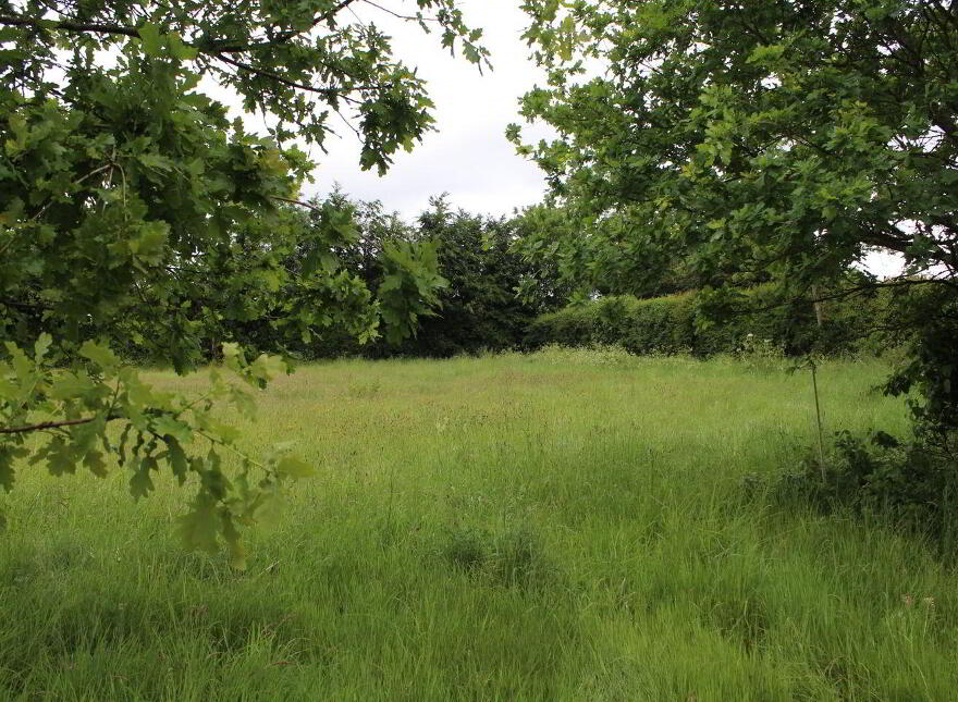 0.75 Acre Site Slyguff, Bagenalstown