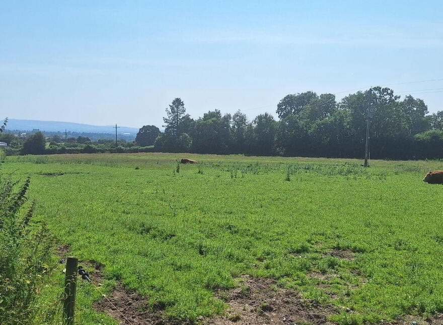 75 Acre Site, Kilcarrig, Bagenalstown