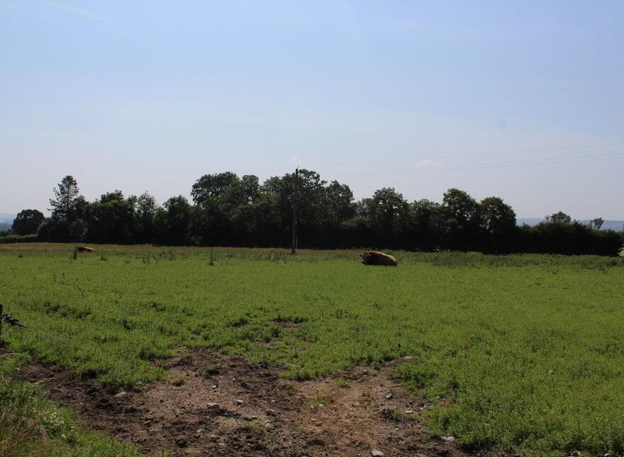 75 Acre Site, Kilcarrig, Bagenalstown