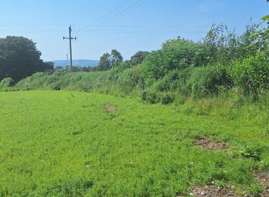 75 Acre Site, Kilcarrig, Bagenalstown