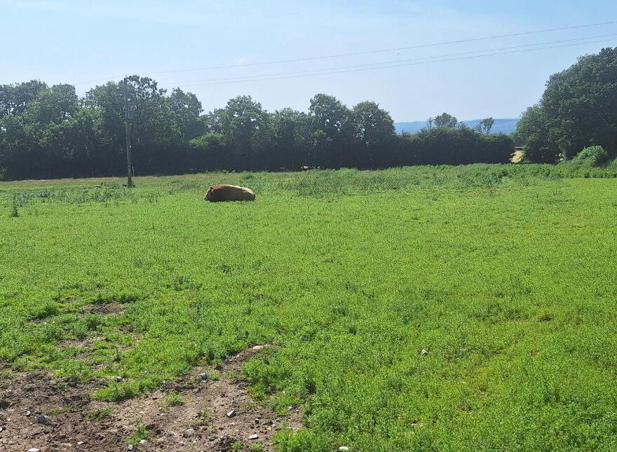 75 Acre Site, Kilcarrig, Bagenalstown