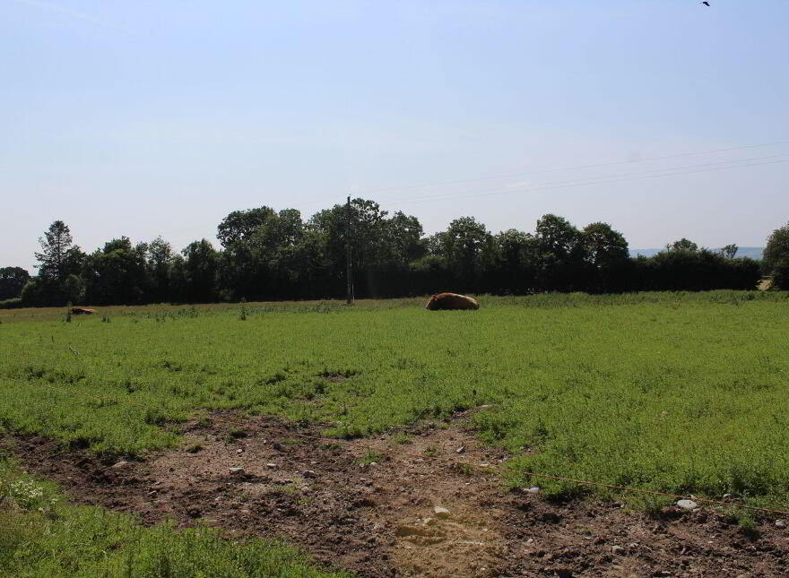 75 Acre Site, Kilcarrig, Bagenalstown
