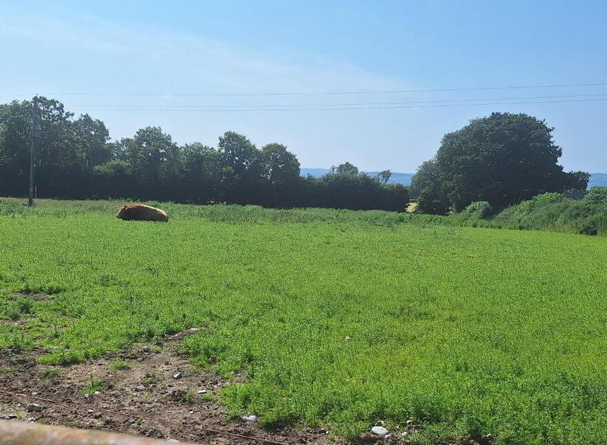 75 Acre Site, Kilcarrig, Bagenalstown