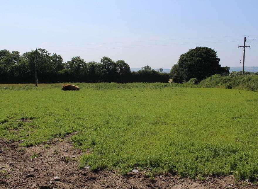 75 Acre Site, Kilcarrig, Bagenalstown