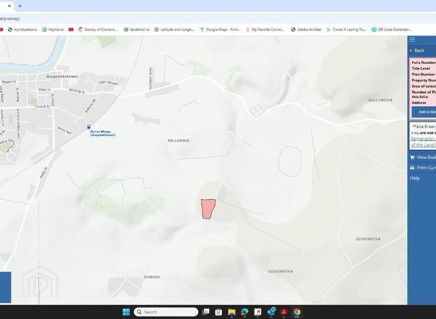 75 Acre Site, Kilcarrig, Bagenalstown