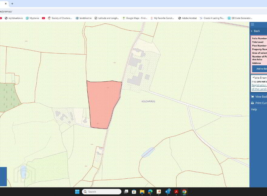 75 Acre Site, Kilcarrig, Bagenalstown
