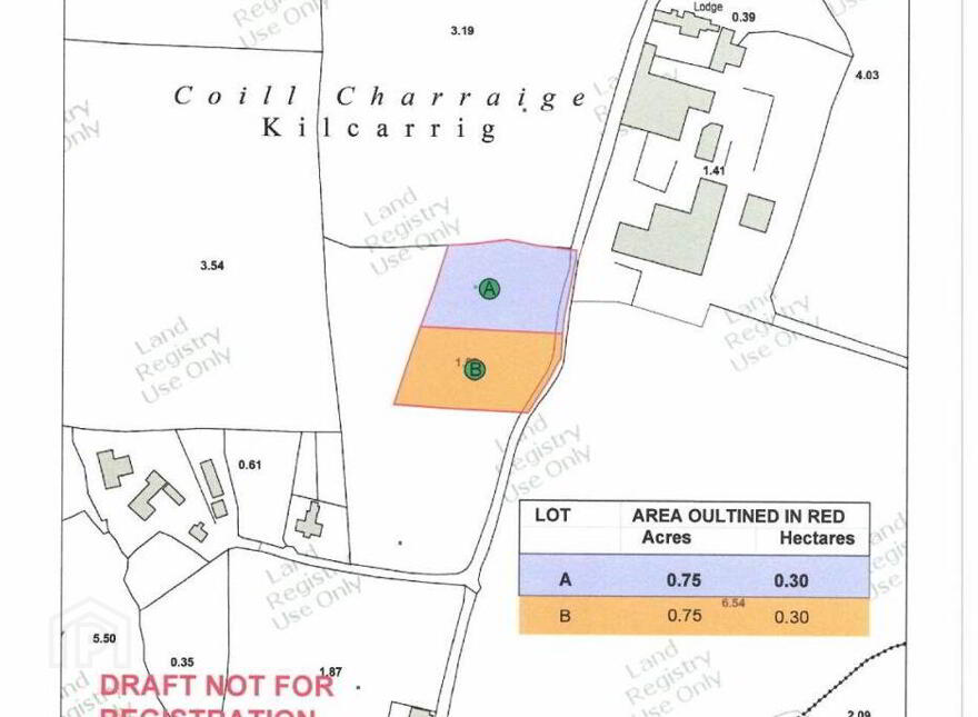 75 Acre Site, Kilcarrig, Bagenalstown