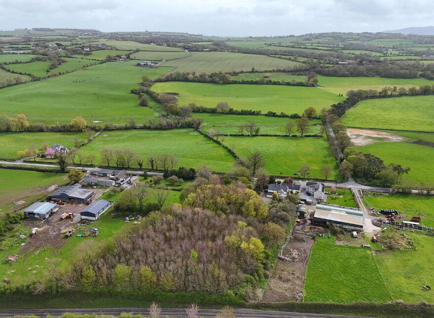 Rathduff House, Muine Bheag, Bagenalstown, R21TF74