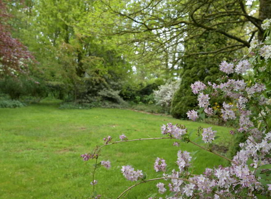 Rathduff House, Muine Bheag, Bagenalstown, R21TF74