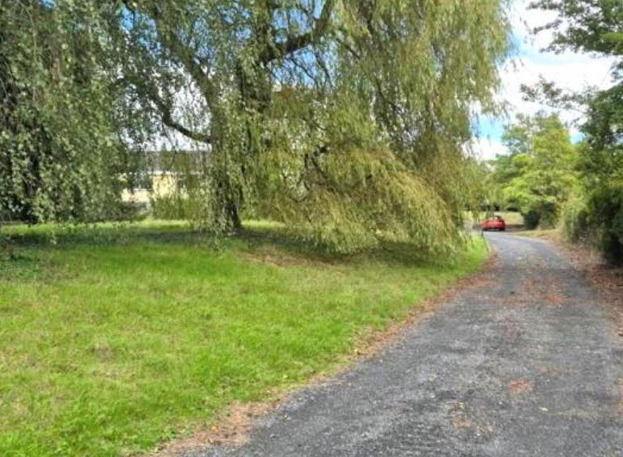 Wells, Bagenalstown, R21K256