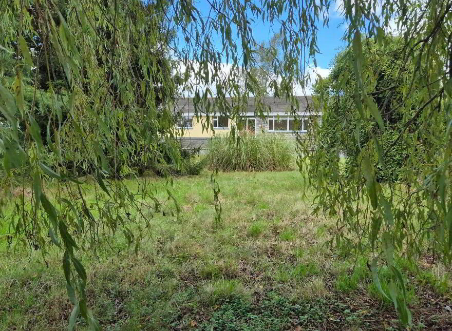 Wells, Bagenalstown, R21K256