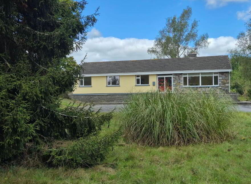 Wells, Bagenalstown, R21K256