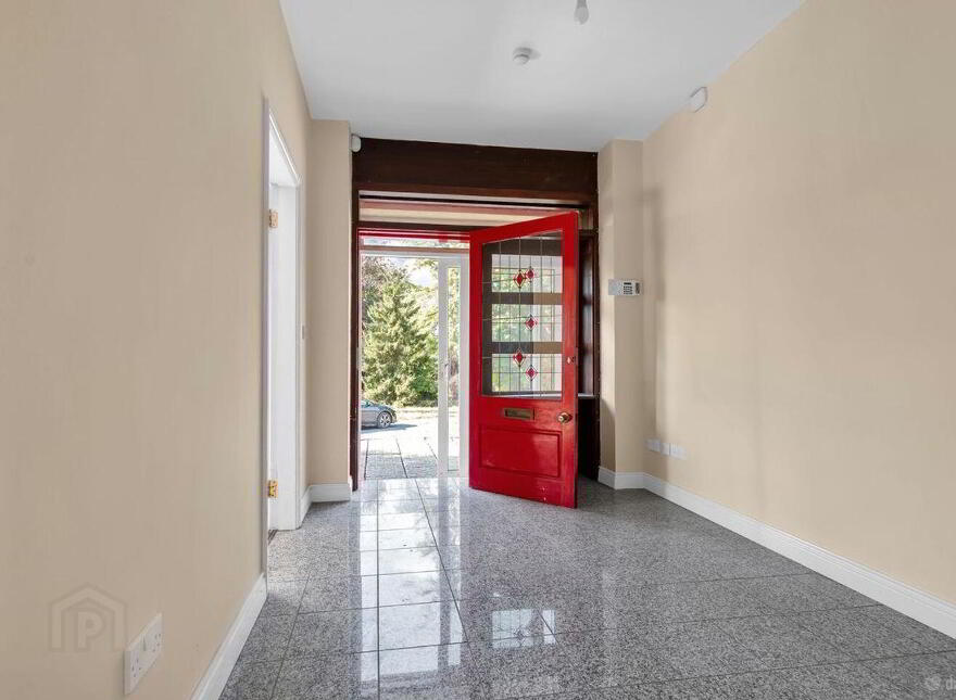 Wells, Bagenalstown, R21K256