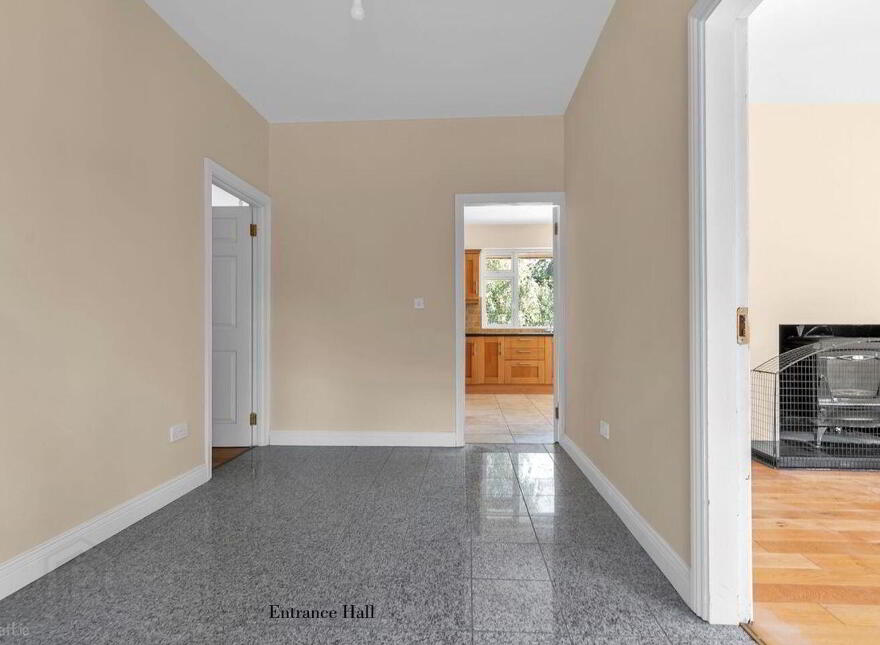 Wells, Bagenalstown, R21K256