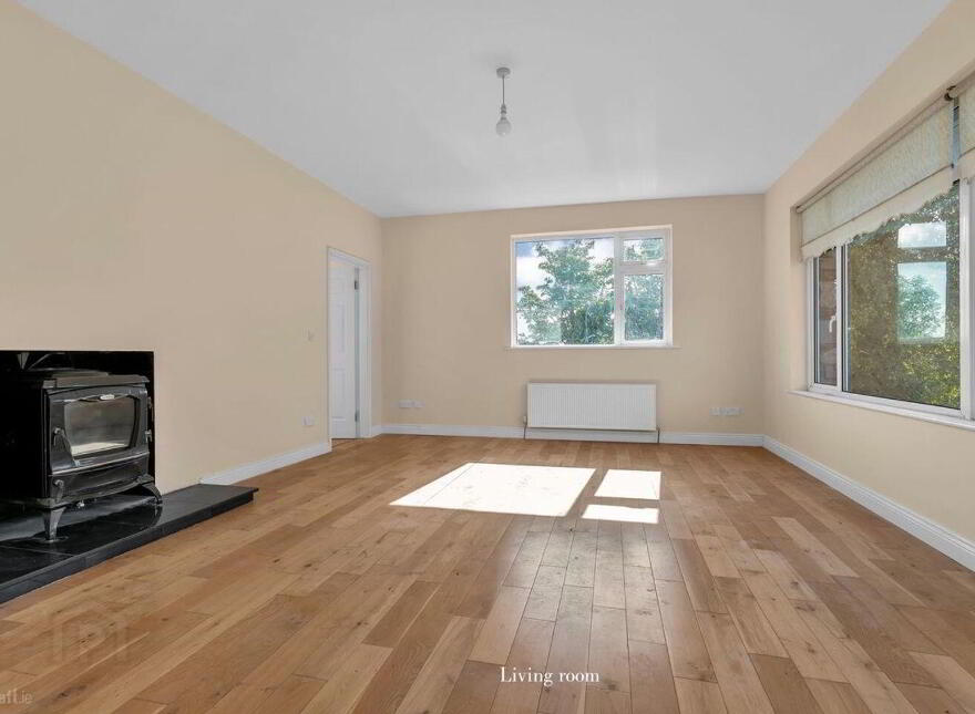 Wells, Bagenalstown, R21K256