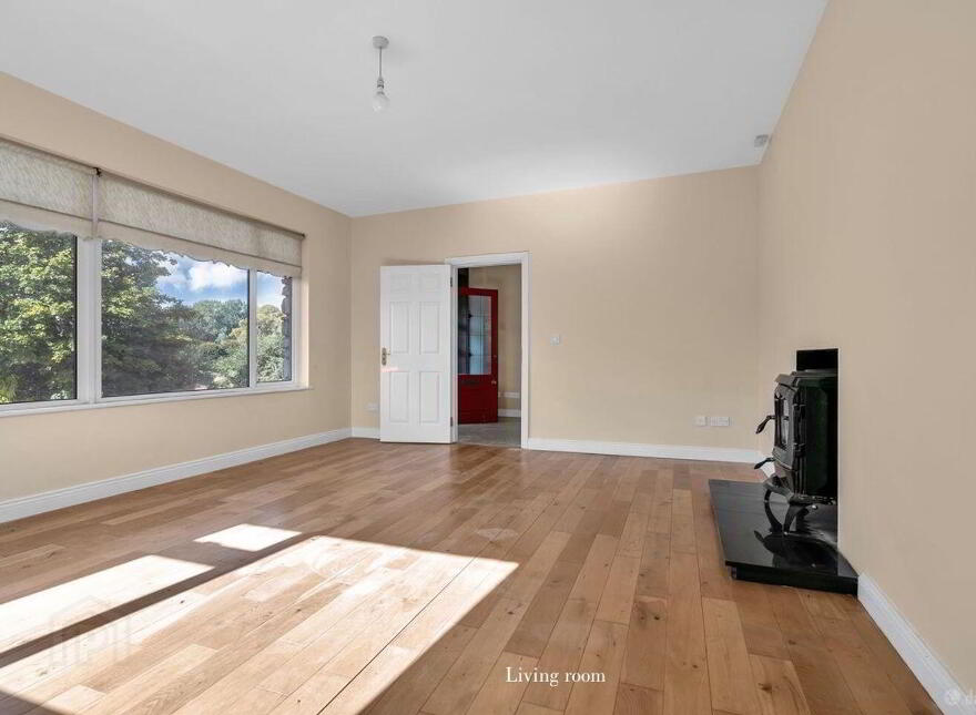 Wells, Bagenalstown, R21K256