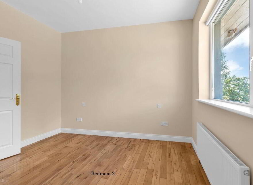 Wells, Bagenalstown, R21K256